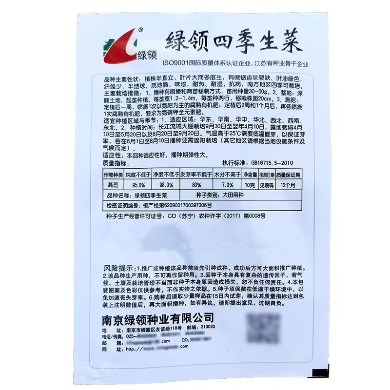绿领四季生菜种子半直立半结球耐热耐湿抗病