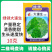 大速生菜种子叶缘深裂生长快清香脆甜无苦味