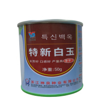 特新白玉萝卜种子早春白萝卜种子韩国高产不空心杂交种