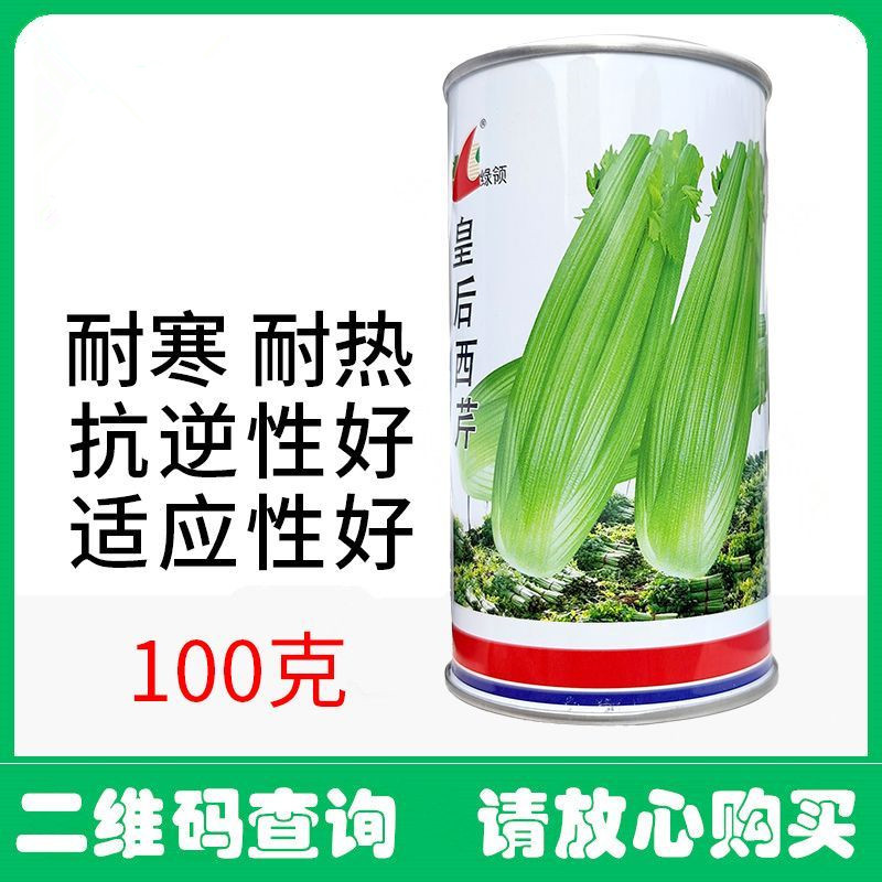 皇后西芹种子早熟西芹叶柄㳀黄净菜率高耐热耐寒