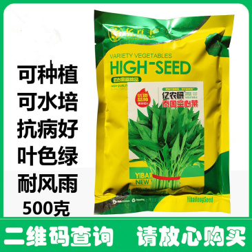 泰国空心菜种子黑籽空心菜种子可水培抗病耐风雨