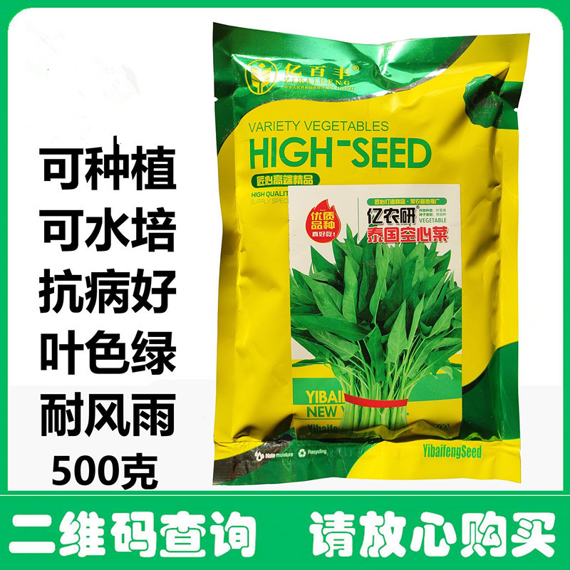 泰国空心菜种子黑籽空心菜种子可水培抗病耐风雨