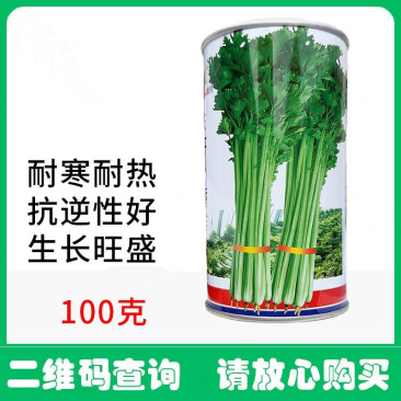 铁杆小香芹种子耐热耐寒品质脆嫩