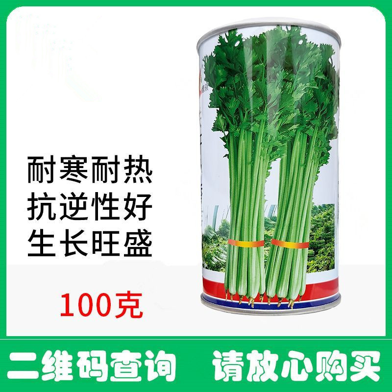 铁杆小香芹种子耐热耐寒品质脆嫩