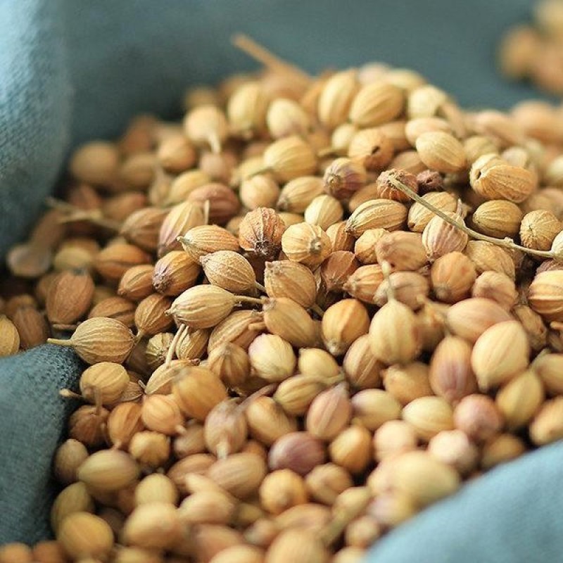 香菜籽香籽芫荽子芫茜孑香菜籽胡荽籽增香味食用香料