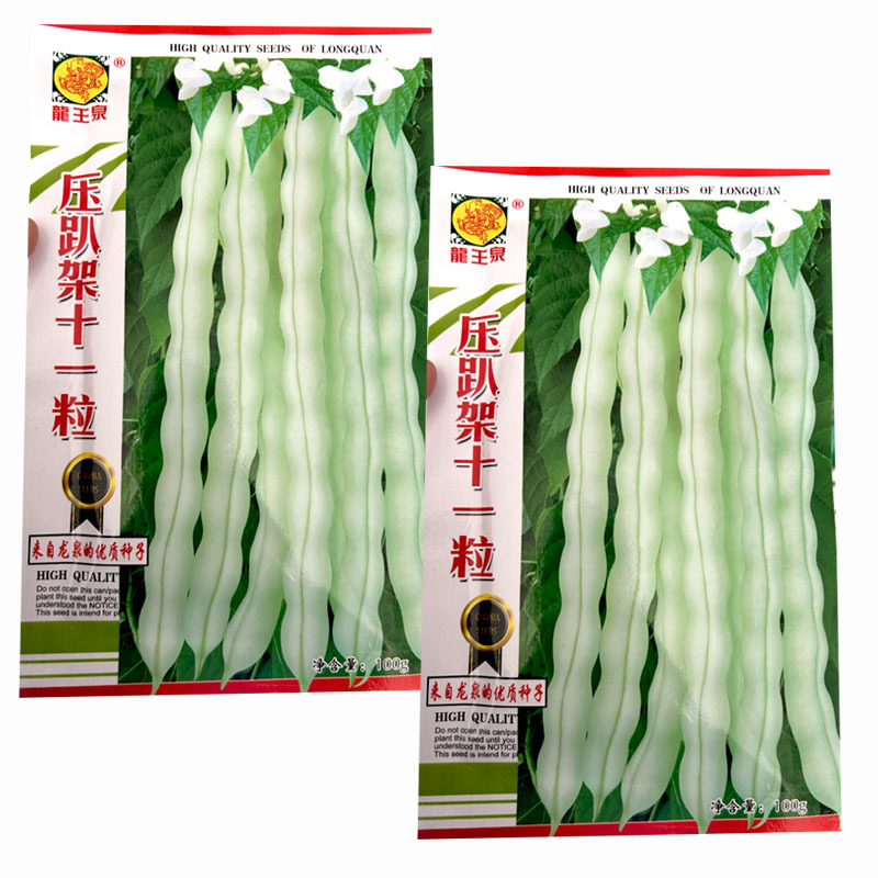 九粒白芸豆种子压趴架十一粒白不老摘不败春秋露地种植