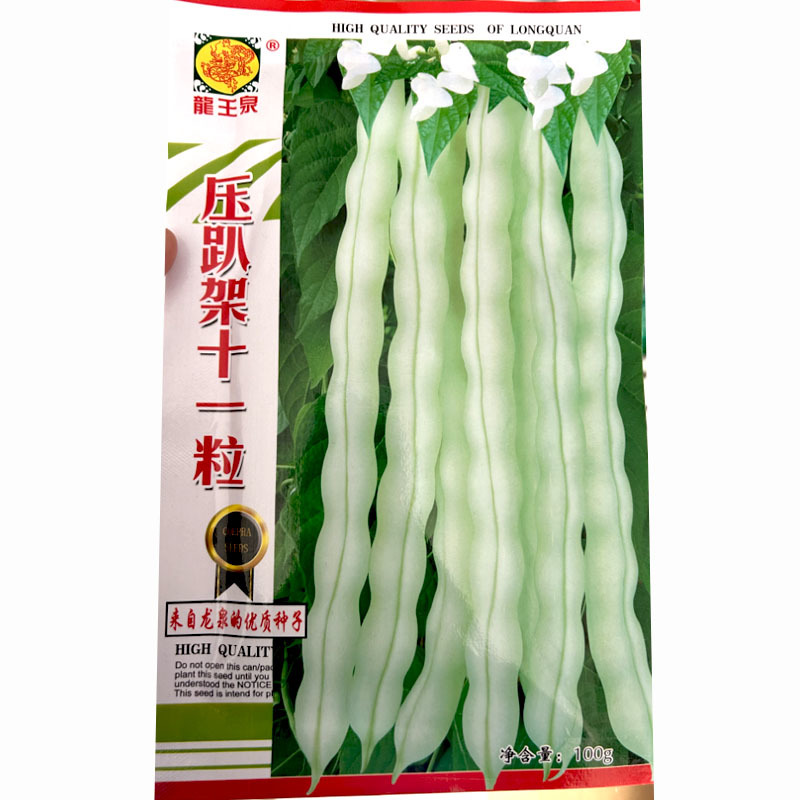 九粒白芸豆种子压趴架十一粒白不老摘不败春秋露地种植
