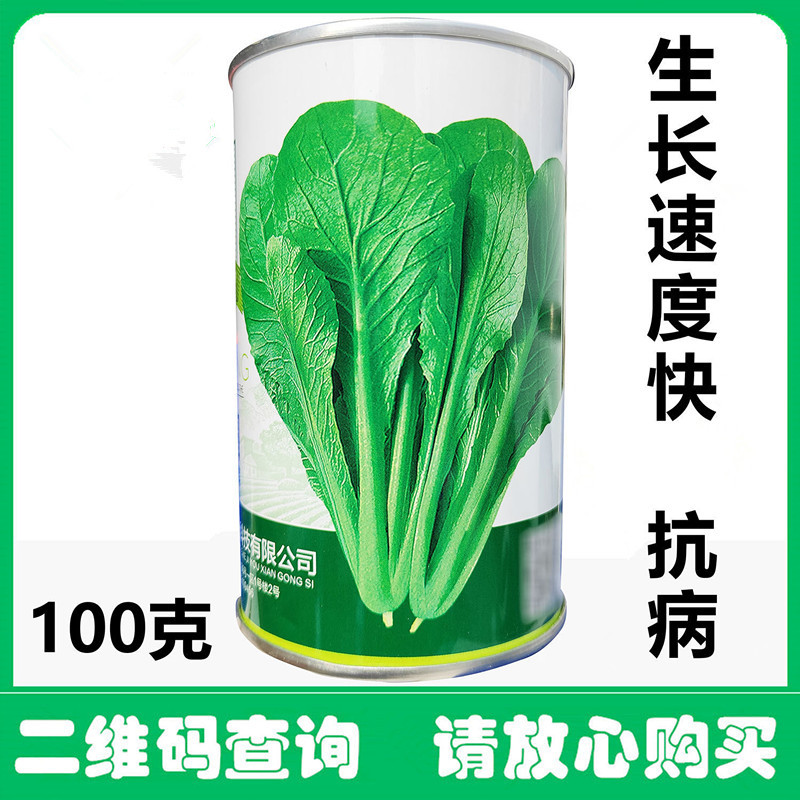 翠绿园青梗快菜种子100g不结球青梗无毛小白菜苗小白菜种