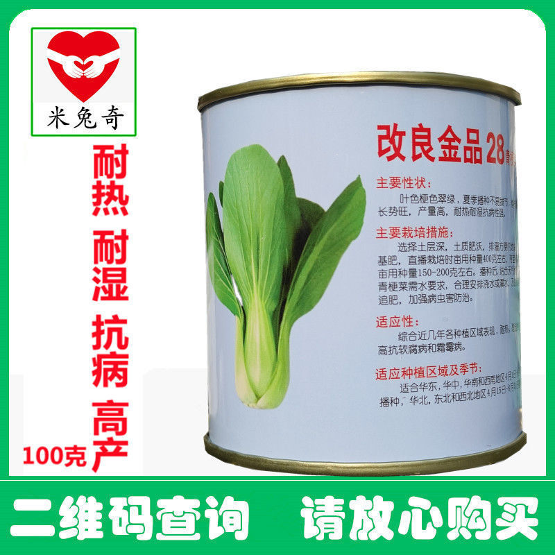 改良金品28青梗菜种子夏季高温不拔节叶梗翠绿耐热耐湿
