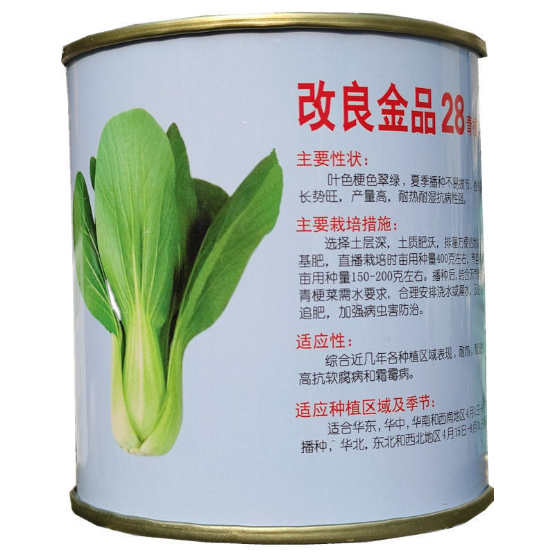 改良金品28青梗菜种子夏季高温不拔节叶梗翠绿耐热耐湿