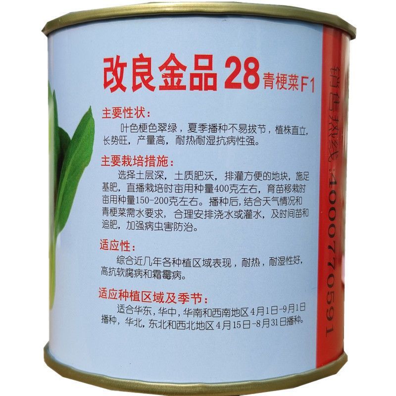 改良金品28青梗菜种子夏季高温不拔节叶梗翠绿耐热耐湿