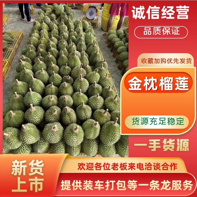 干尧榴莲榴莲产地直发软糯香甜对接二批三批市场等