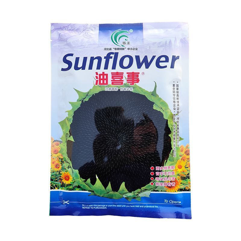 油太祖油葵种子三系杂交抗病抗鸟害榨油用向日葵种子