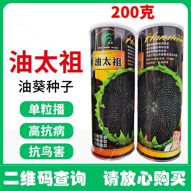 油太祖油葵种子三系杂交抗病抗鸟害榨油用向日葵种子