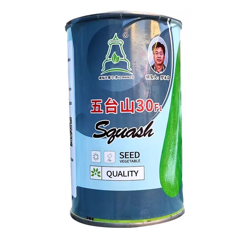 油亮翠绿西葫芦种子早熟杂交西葫芦种子抗病瓜条顺直