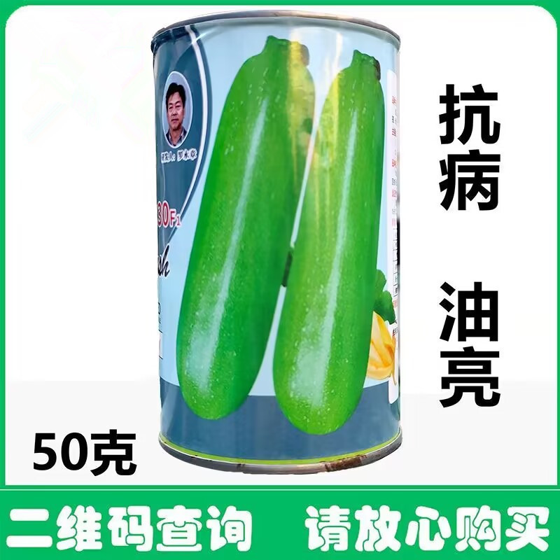 油亮翠绿西葫芦种子早熟杂交西葫芦种子抗病瓜条顺直