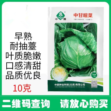 中甘暄菜包心菜种子早熟春播45天耐寒耐抽苔甘蓝种子