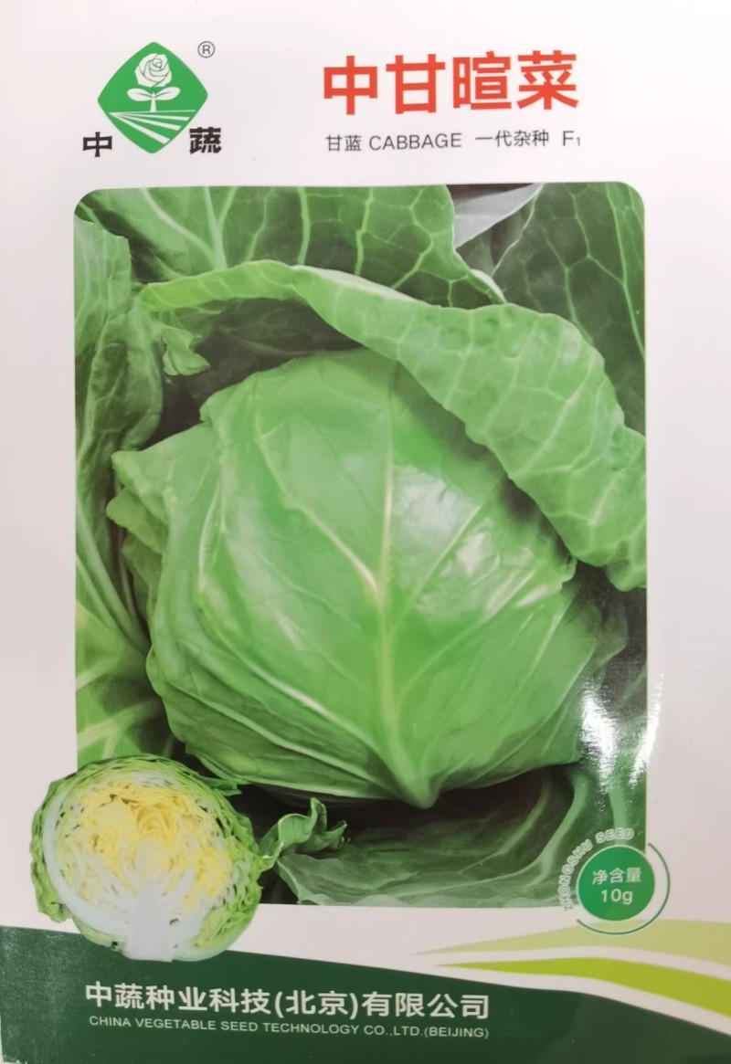 中甘暄菜包心菜种子早熟春播45天耐寒耐抽苔甘蓝种子