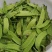 【优选荷兰豆】四川豌豆荷兰豆-产地直发-价格优惠