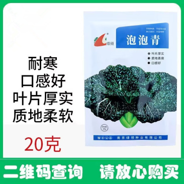 泡泡青黑白菜种子叶色墨绿有泡皱耐寒耐抽苔
