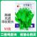 无须豌豆尖种子清香脆嫩苗茎粗壮可持续采收苗尖