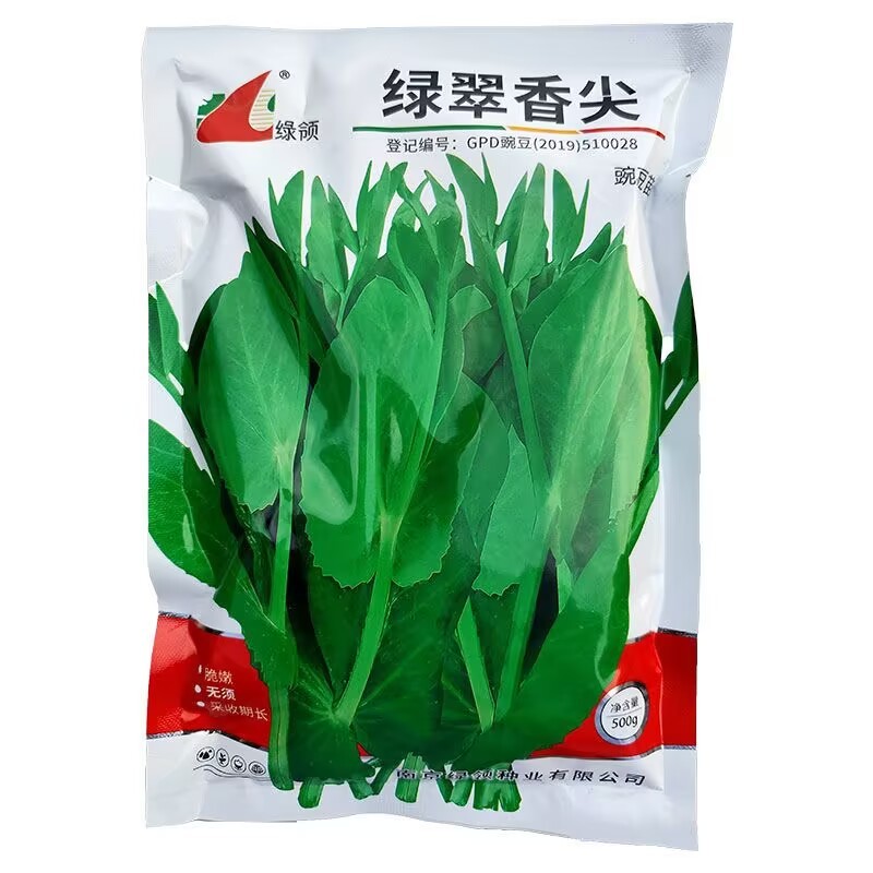 无须豌豆尖种子清香脆嫩苗茎粗壮可持续采收苗尖