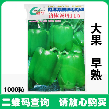 洛椒诚研115甜椒种子果皮方正肉厚皮光抗病