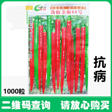 洛椒条椒68号线椒种子早熟翠绿微辣干鲜两用青红辣椒