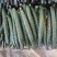 密刺黄瓜干花带刺诚信经营一手货源量大价优