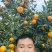 柑桔/蜜橘湖南省常德市澧县特早蜜桔爆甜多汁量大从优