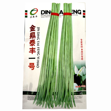 金鼎泰丰一号长豆角种子绿白色肉厚纤维少不易老化