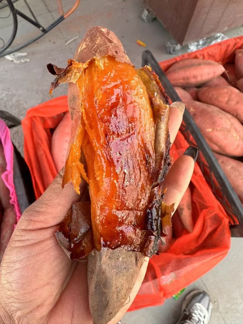 （降价了）河北烟薯25烤红薯现挖现发，一件代发量大价优