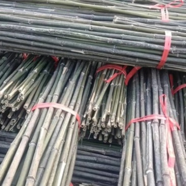 【推荐】菜架用竹竿，2.2m，一手货源，量大从优