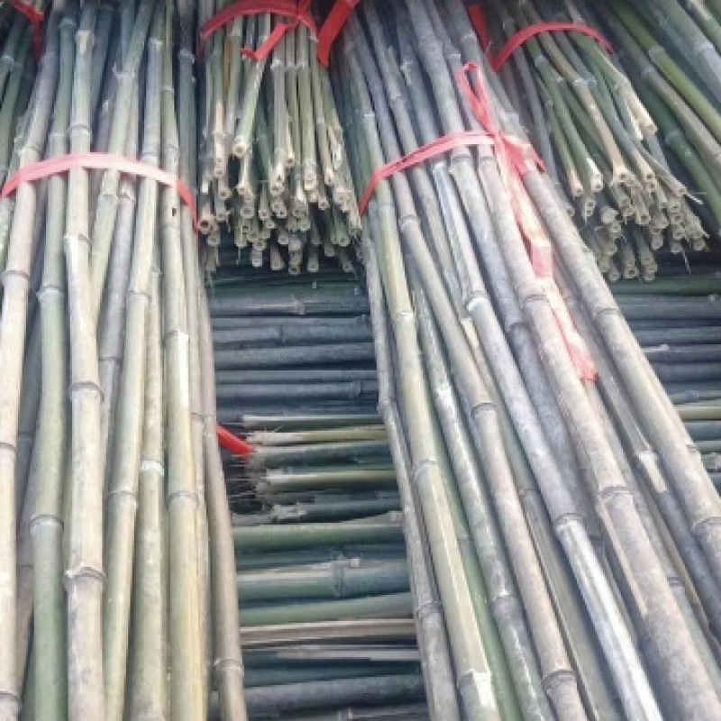 【推荐】菜架用竹竿，2.2m，一手货源，量大从优
