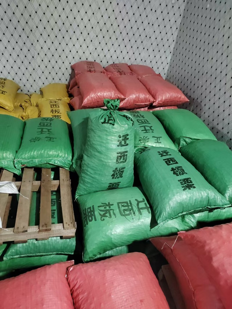 【热卖】板栗各种规格一手货源香甜可口价格美丽欢迎选购