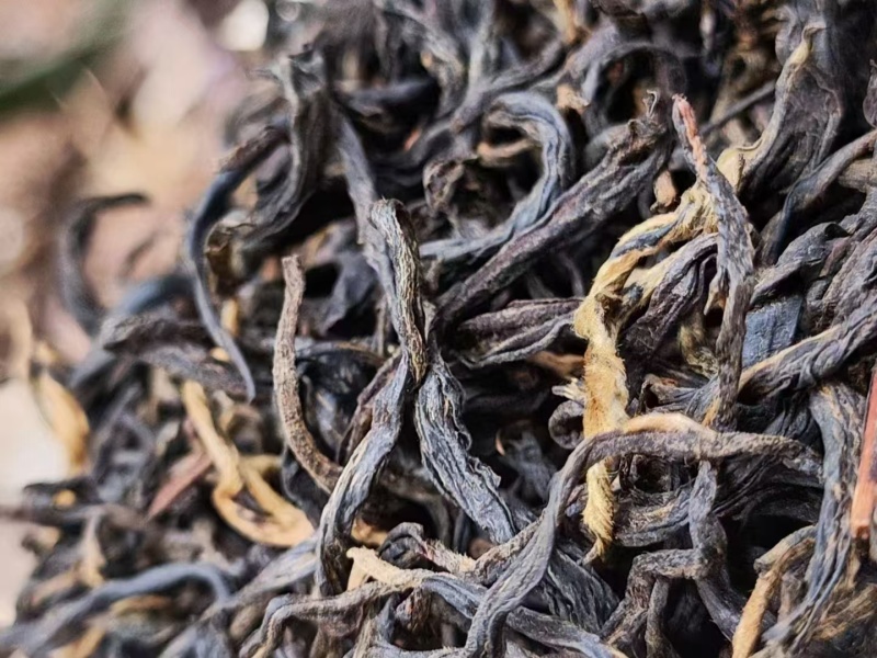 红茶古树红茶鲁司贡茶有机红茶香气高扬甘甜度好经久耐泡