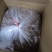 自产自销榧子香榧浙江土特产大量上新新鲜现炒保质保量欢迎咨询