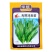 无斑油麦菜种子叶片直立耐抽苔香味浓郁