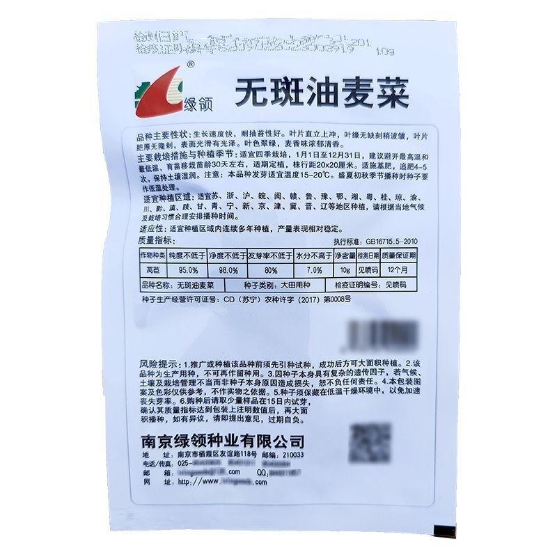 无斑油麦菜种子叶片直立耐抽苔香味浓郁