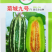 菊城九号杂交羊角蜜甜瓜种子博洋甜瓜种子酥脆型