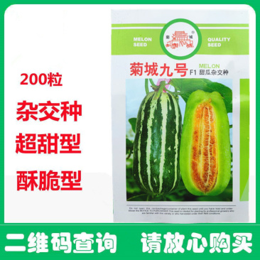菊城九号杂交羊角蜜甜瓜种子博洋甜瓜种子酥脆型