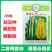 菊城九号杂交羊角蜜甜瓜种子博洋甜瓜种子酥脆型