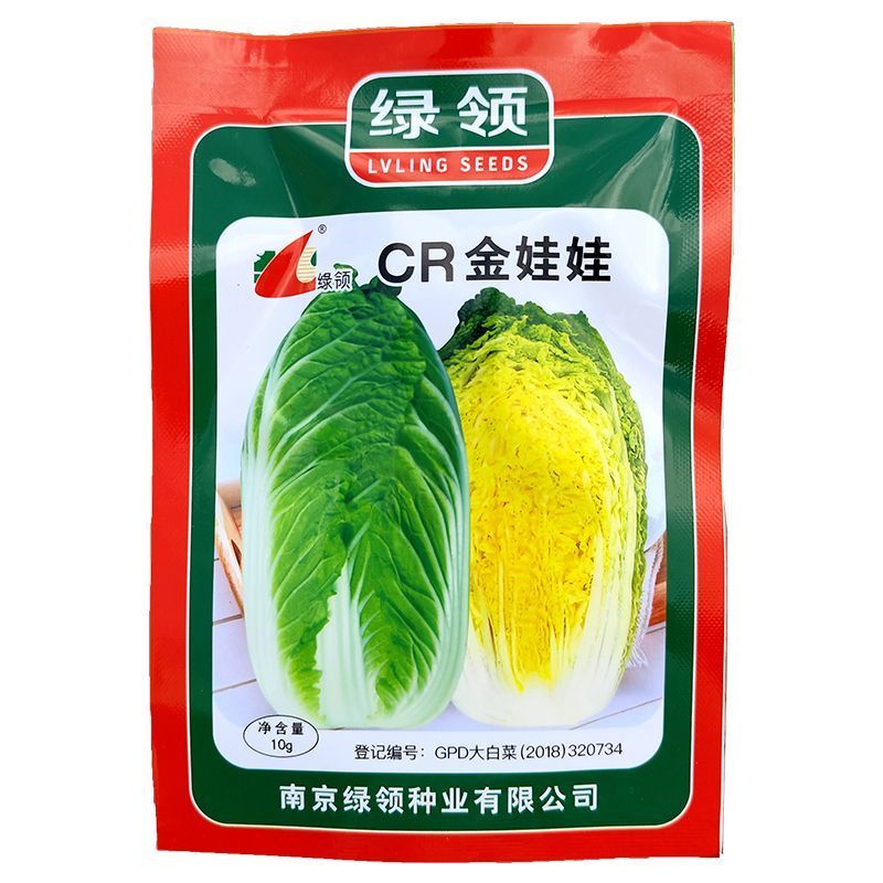 黄心娃娃菜种子春秋类型娃娃菜外叶绿色内叶鲜黄