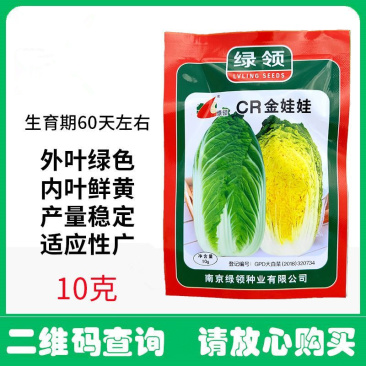 黄心娃娃菜种子春秋类型娃娃菜外叶绿色内叶鲜黄