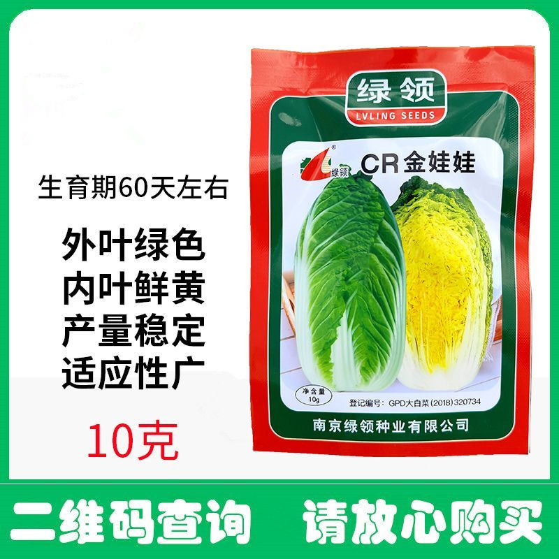 黄心娃娃菜种子春秋类型娃娃菜外叶绿色内叶鲜黄