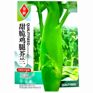 甜脆鸡腿芥兰种子耐热耐寒白花粗苔四季种植