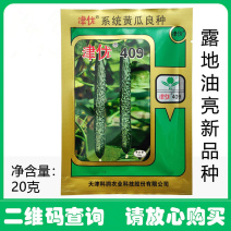 津优409黄瓜种子短把瓜条顺直耐高温肉厚心腔小