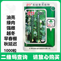 津优201黄瓜种子耐寒耐低温弱光大棚拱棚冬春保护地种
