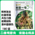 黑霸一号砧木种子白籽黑茎南瓜种子黑腿黄瓜甜瓜西瓜嫁接