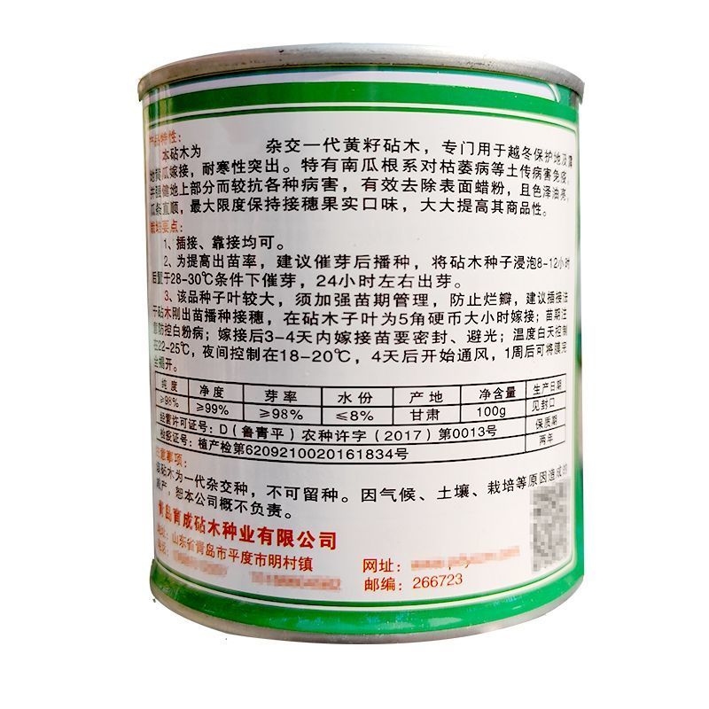 凤凰三号黄瓜专用砧木种子油亮去蜡粉耐低温黄籽粒南瓜籽